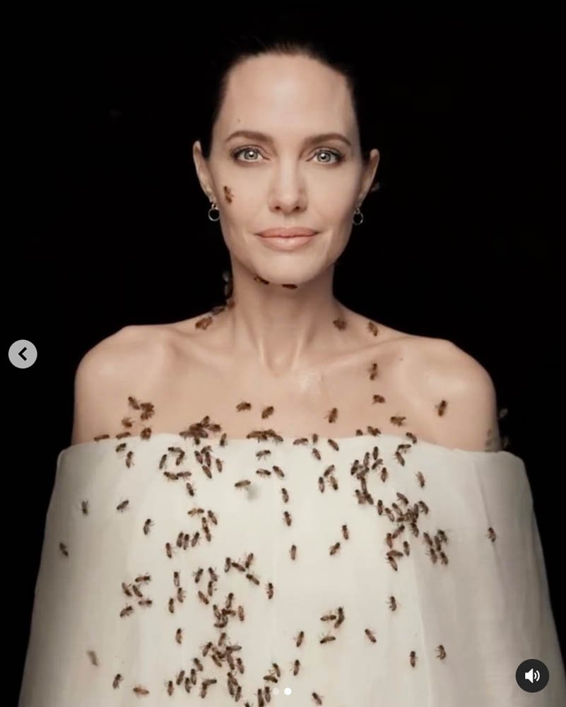 Angelina Jolie Raises Pollinator Awareness with Bee-Covered Portrait ...